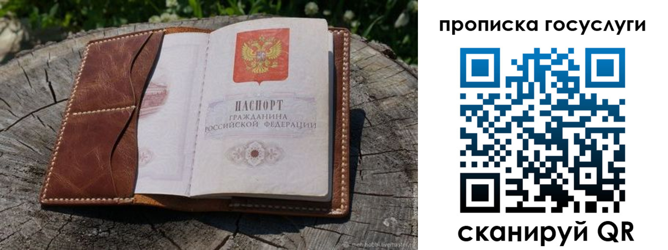 прописка для школы в Гае